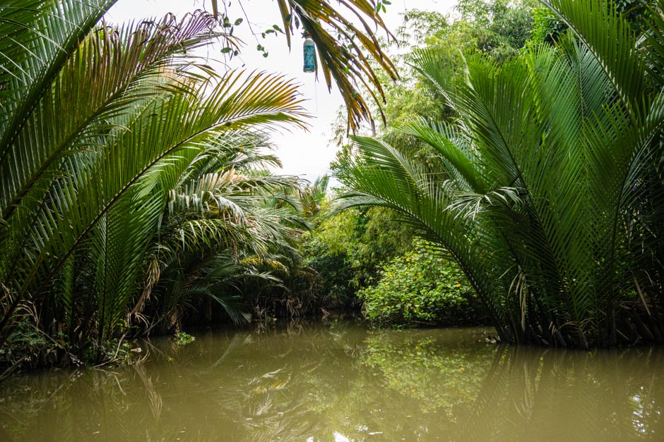 Natur im Mekongdelta