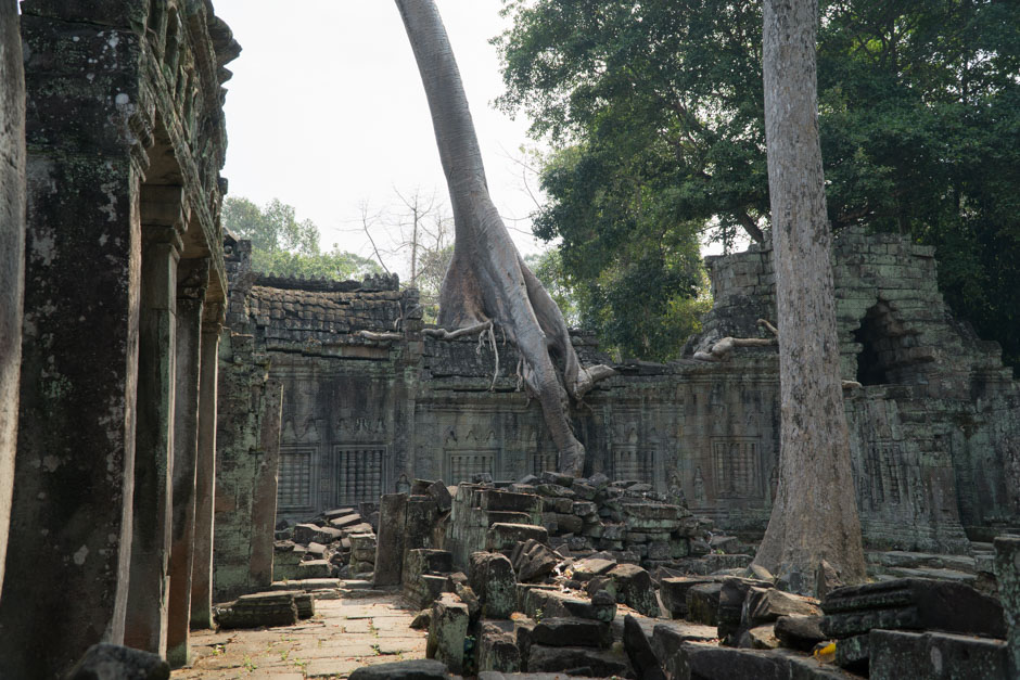 Tempel mit Baum