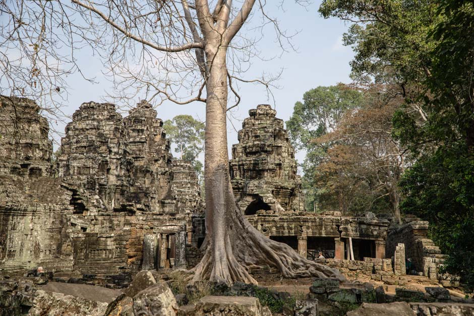 Tempel mit Baum