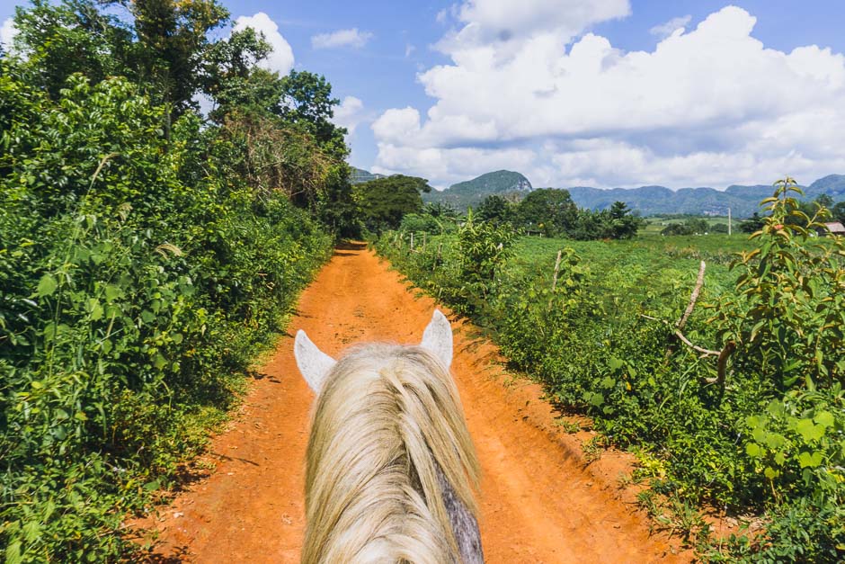 Pferdetour in Vinales