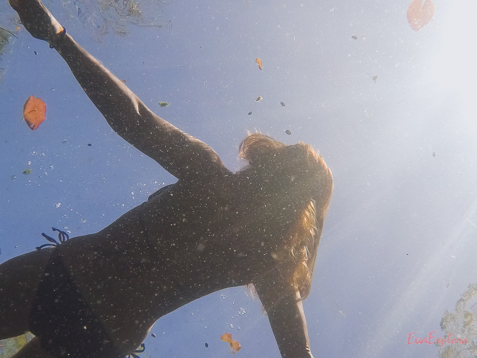 Schwimmen in Cenote