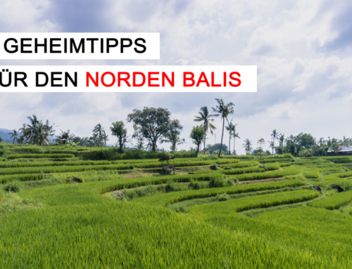 Bali: 7 Geheimtipps für deinen Trip in den Norden
