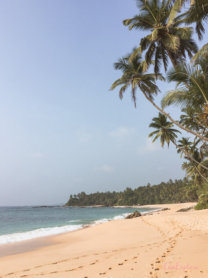 schoenster Strand Sri Lanka