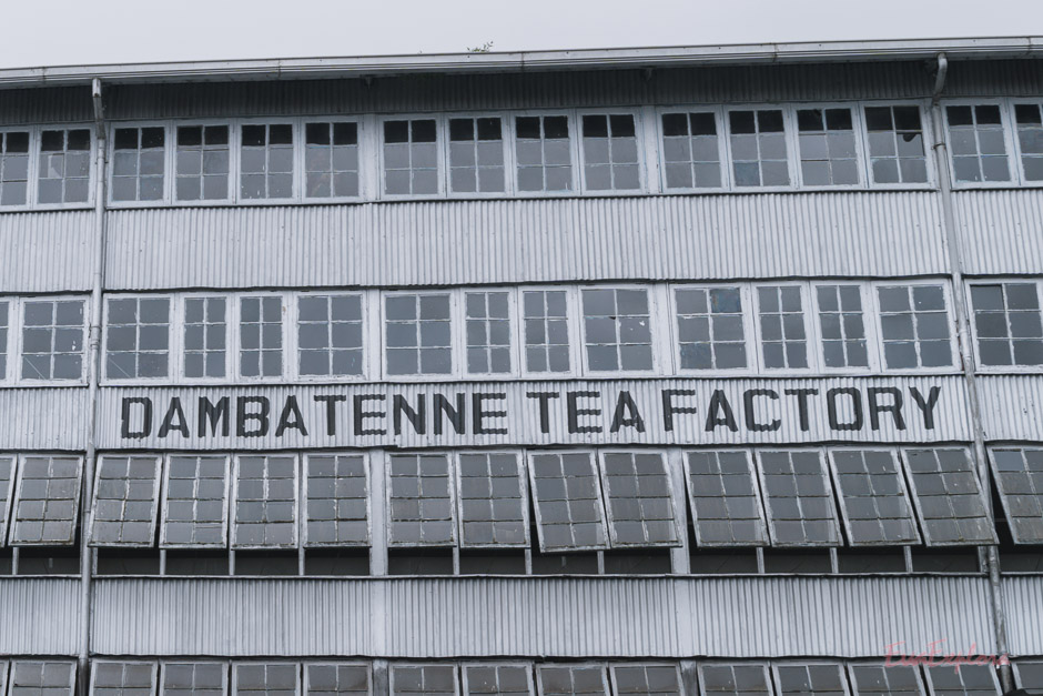 Teefabrik Sri Lanka
