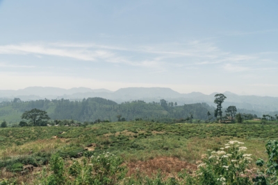 unterwegs auf SriLanka Aussicht vom Zug