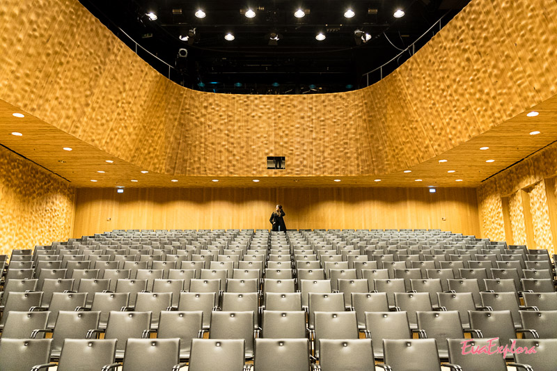 elbphilharmonie Hamburg Konzertsaal