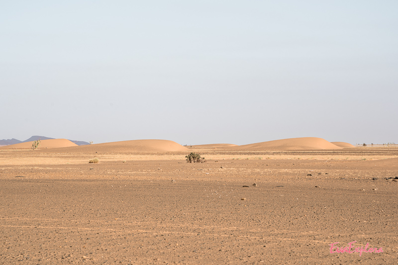 Mauretanien Wuestentour