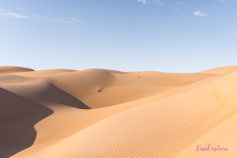 Wüstentour in der Sahara