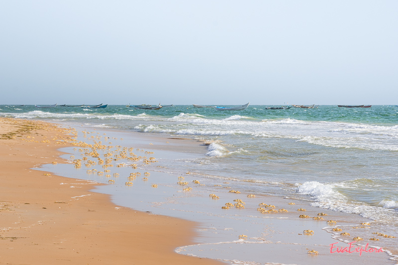 Strand Mauretanien
