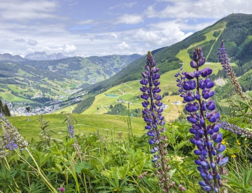 Saalbach-Hinterglemm im Sommer: meine 9 Ausflugstipps