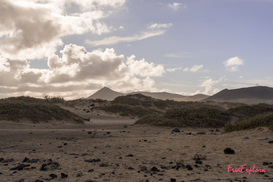 Duenen Lanzarote